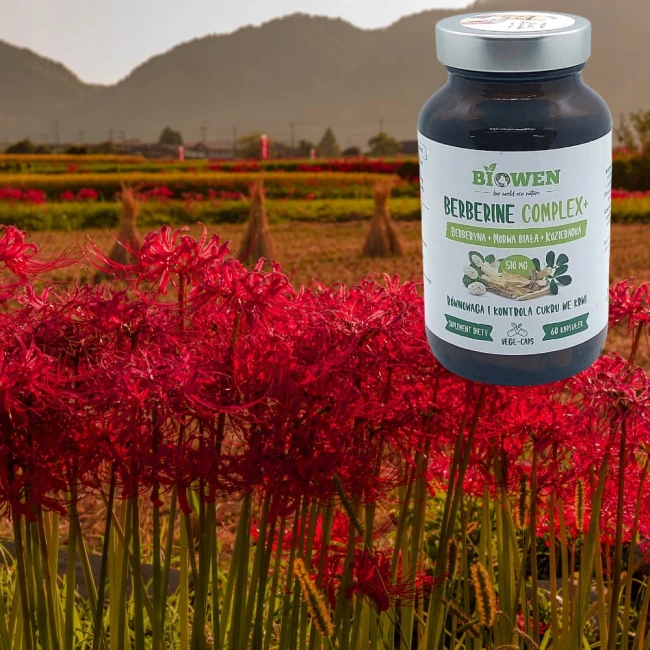 405635fd8cc512a808fbcf57f429637a.jpg
